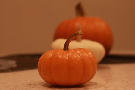 20161011082551_img_2332